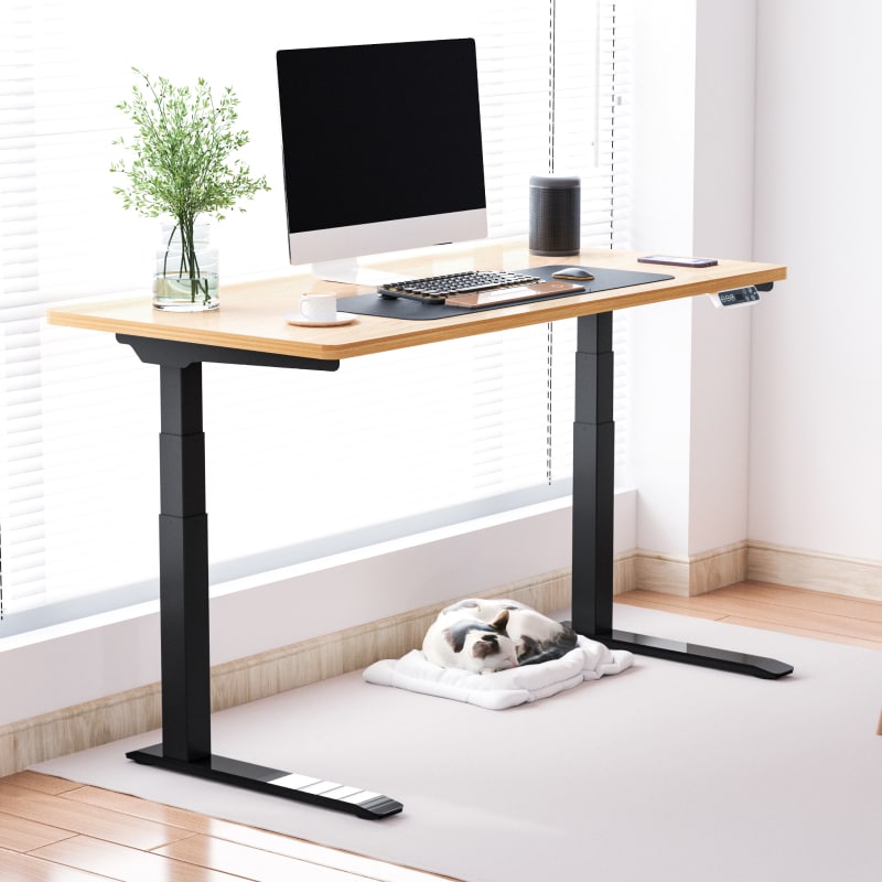 FlexiSpot 電動昇降デスク 140cm 白