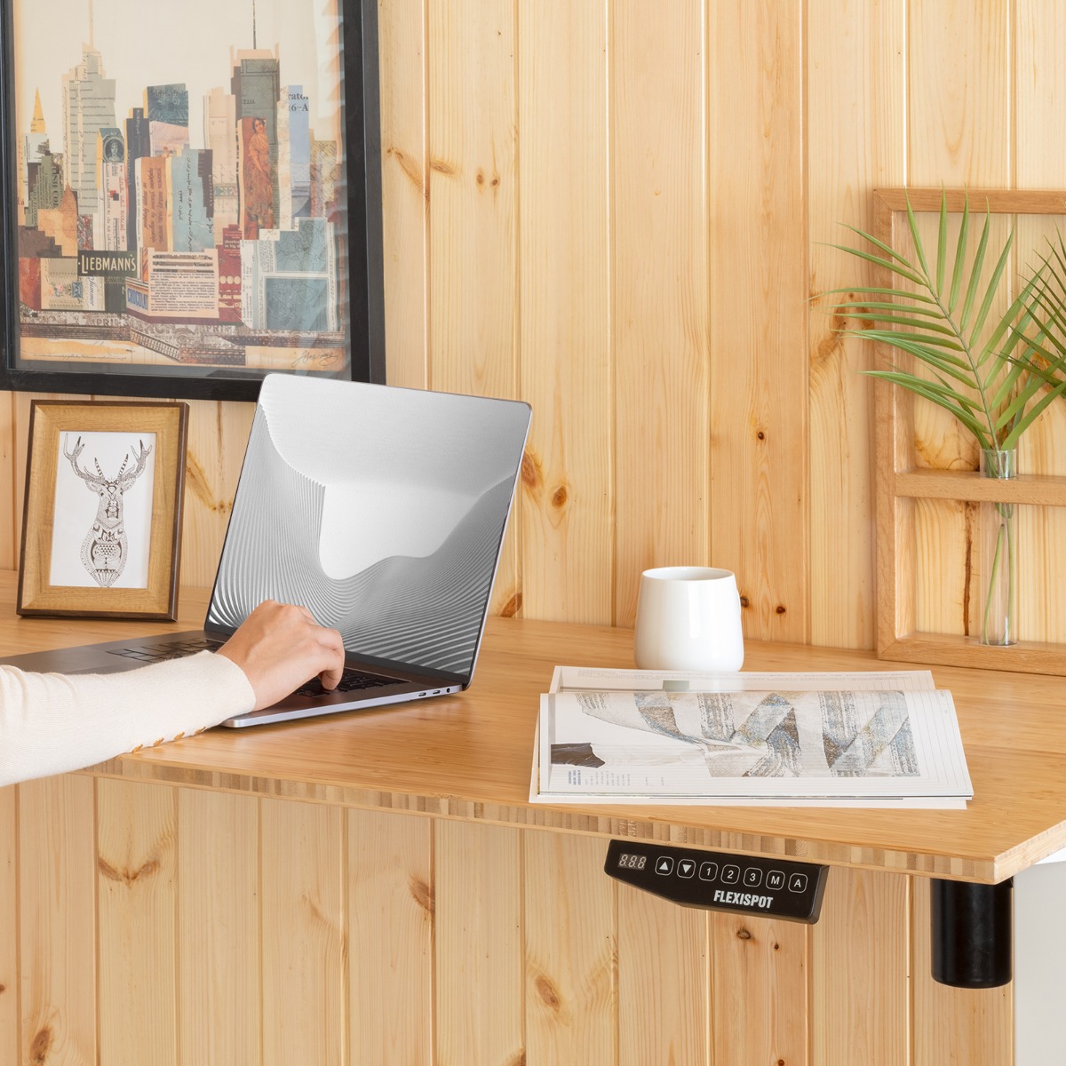 FLEXISPOT 電動昇降デスク 木目調 120cm