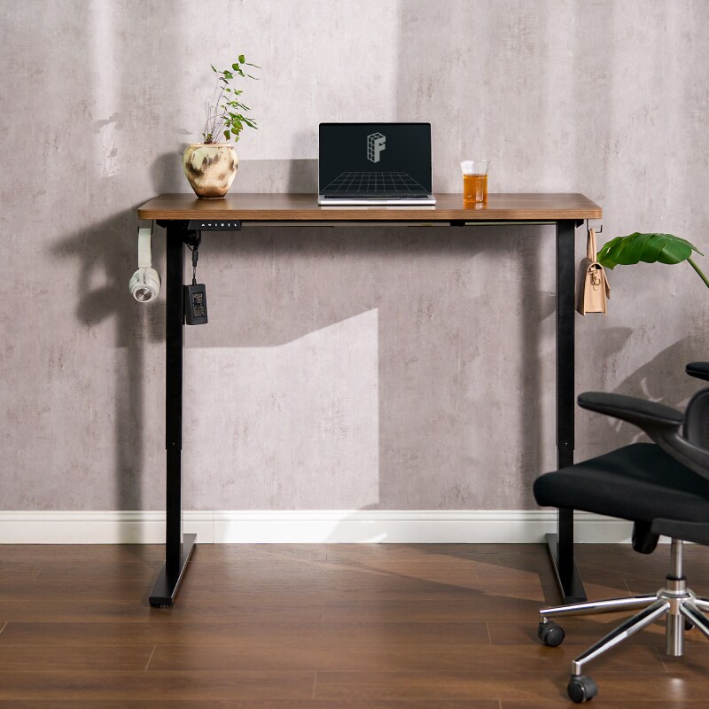 FlexiSpot 電動昇降デスク EG1B フレーム + 天板160cm