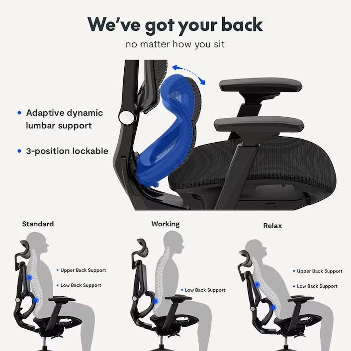 Ergonomics Correct Lumbar Support Position Premium Ergonomic