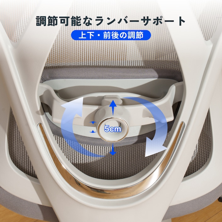 オフィスチェア・C5 | FlexiSpot 公式ストア