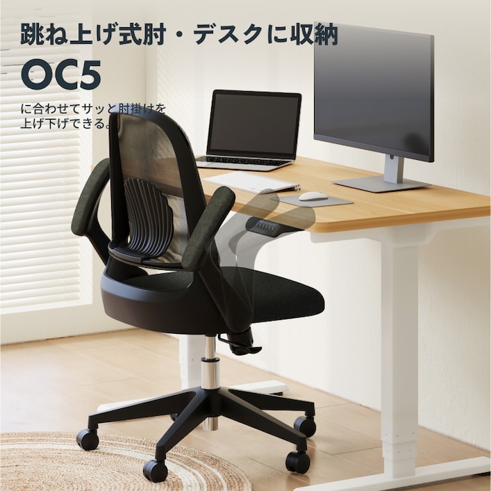 オフィスチェア・OC5 | FlexiSpot 公式ストア オフィスチェア・OC5 | FlexiSpot 公式ストア