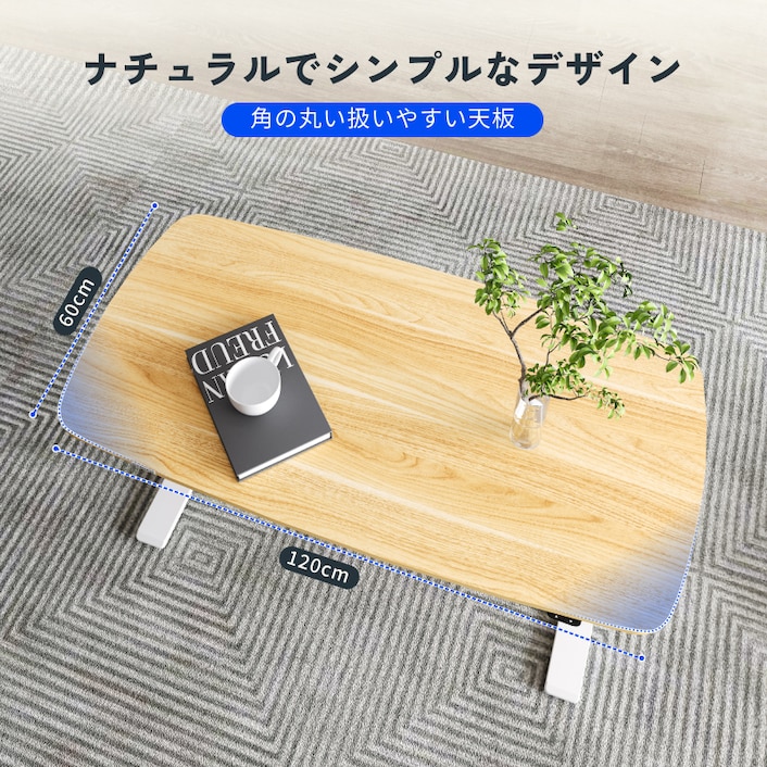 電動昇降式デスク・E8 | FlexiSpot 公式ストア
