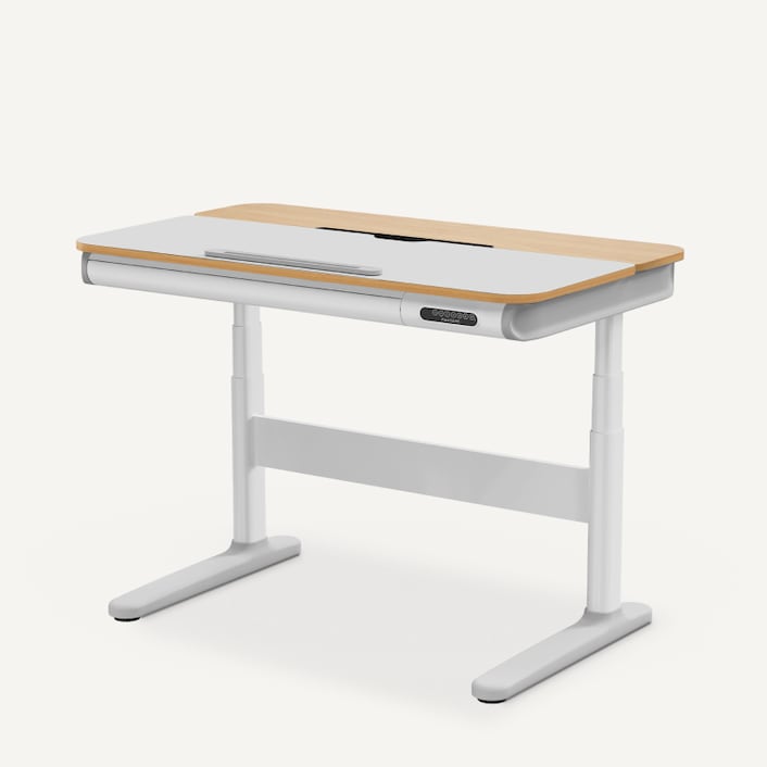 電動昇降式デスク・SD8 | FlexiSpot 公式ストア 