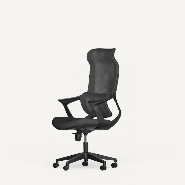 FlexiSpot オフィスチェア ハイバック リクライニングチェア