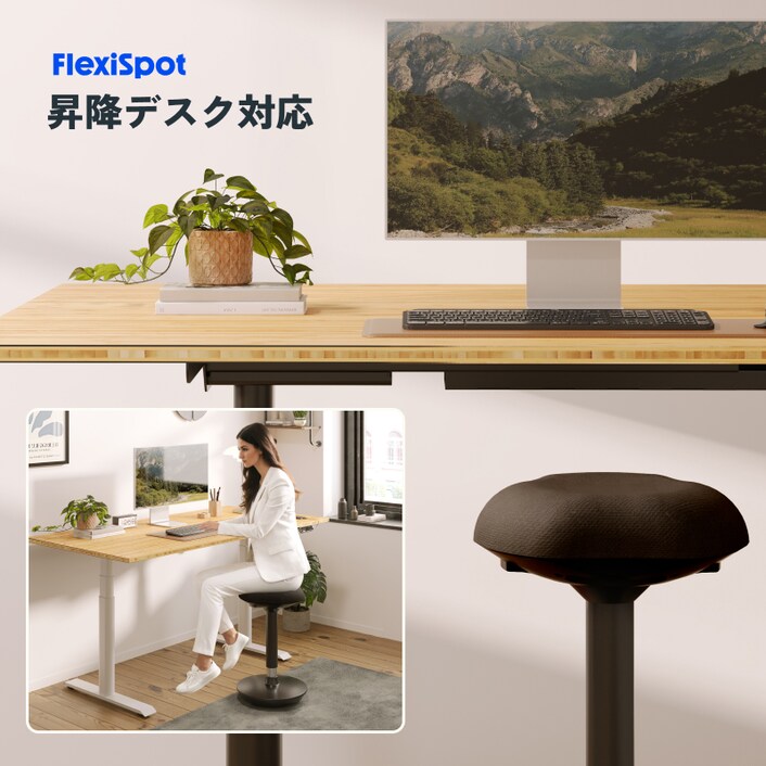 バランスチェア・BH4 | FlexiSpot 公式ストア