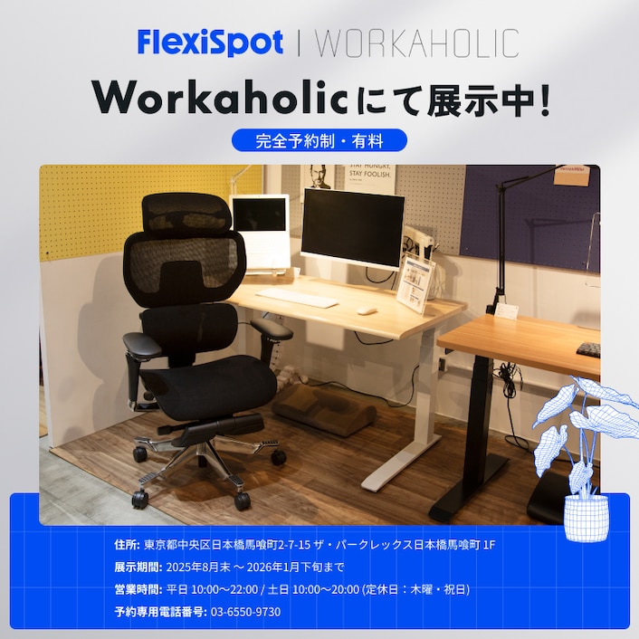 にゃん太郎　flexispot c7 morpher にゃん太郎 flexispot c7 morpher FlexiSpot Ergonomic Office