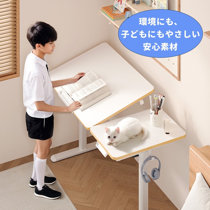 電動昇降式デスク・SK2 | FlexiSpot 公式ストア