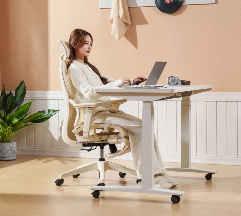 2025 NEWチェア発売記念フェア | FlexiSpot公式ストア