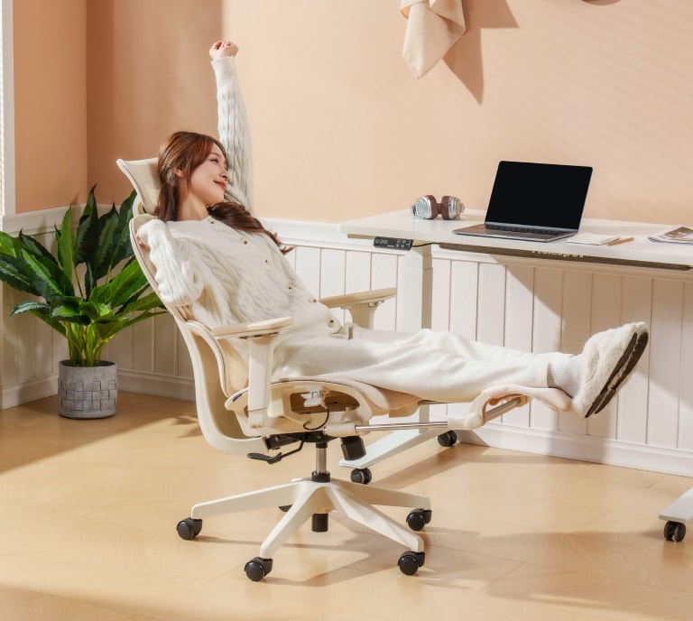 2025 NEWチェア発売記念フェア | FlexiSpot公式ストア