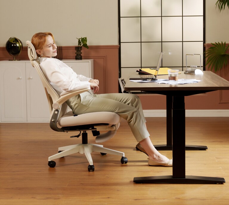 2025 NEWチェア発売記念フェア | FlexiSpot公式ストア